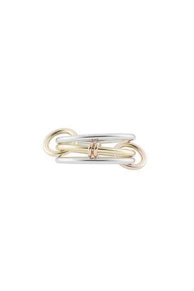 Acacia MX Ring